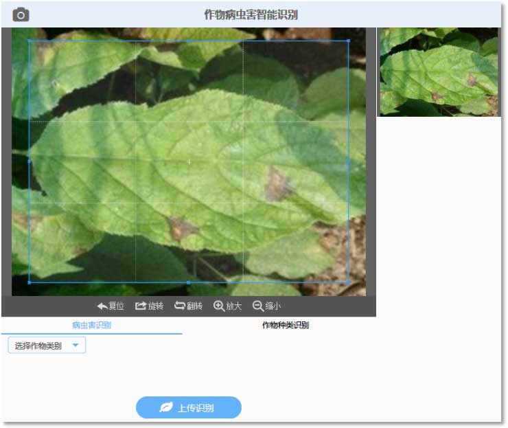 文朗润诚智慧农业 文朗润诚智慧农业